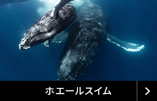 bnrmany_04-05
