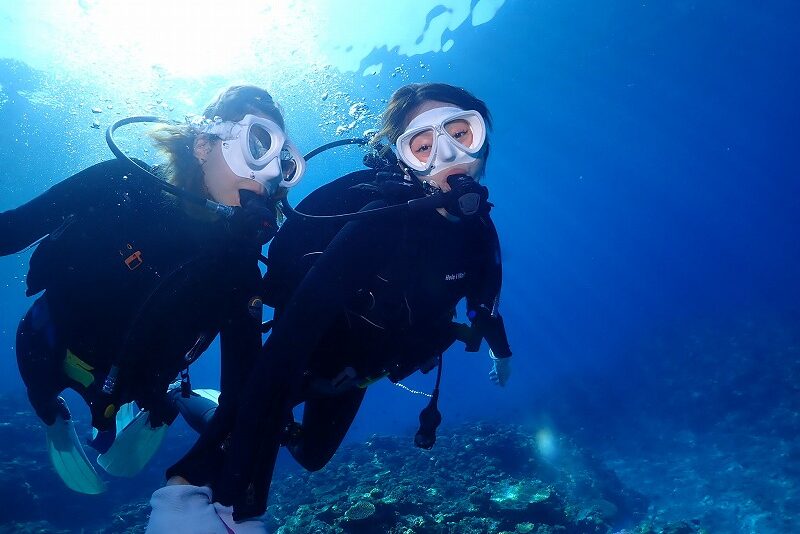 e730ccd0fed23428e1873ce3c2290258