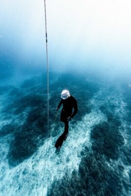 license-freediving3-320x480-267x400