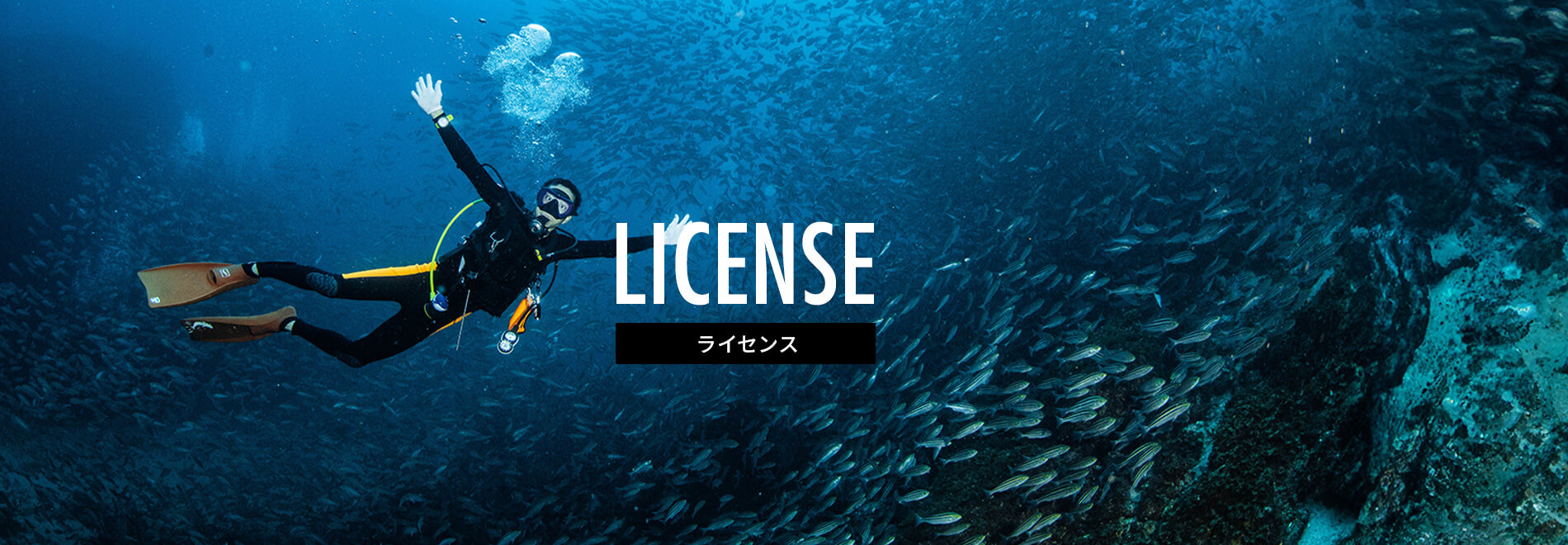 ライセンス