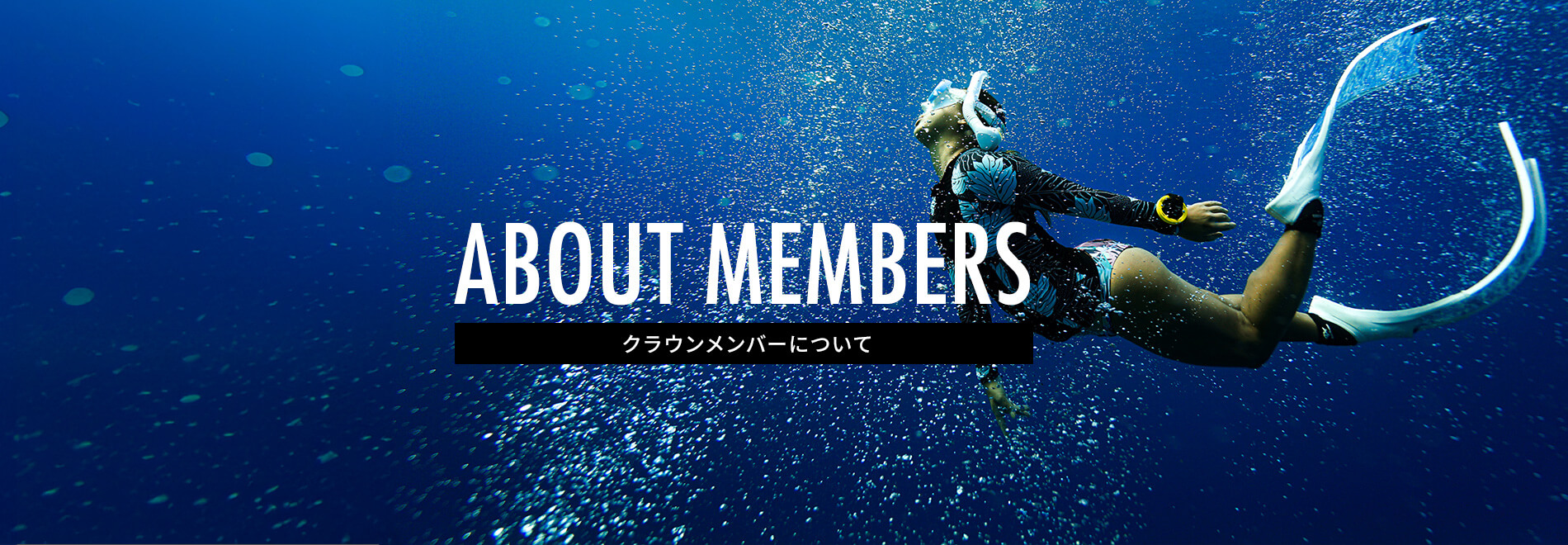 クラウンメンバーについて