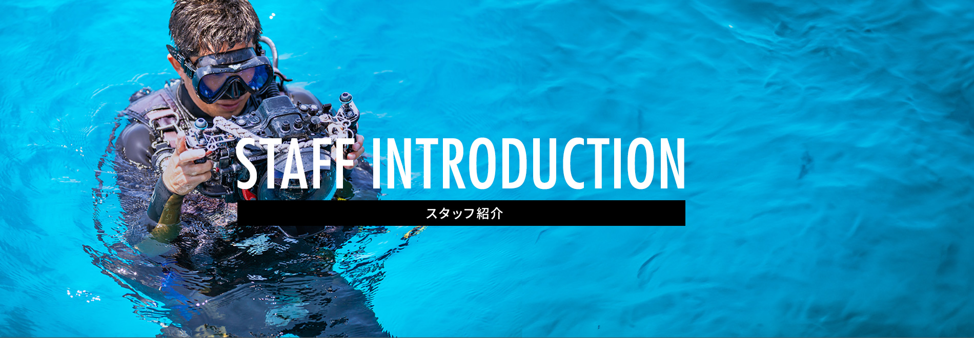 スタッフ紹介