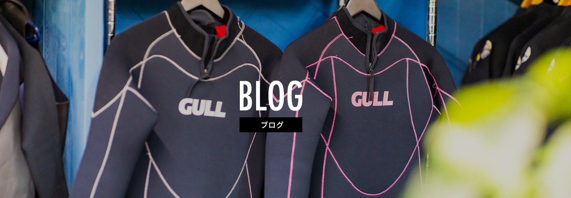 オフィシャルブログ